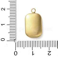 304 Stainless Steel Acrylic Pendants&nbsp;LS-STAS-M091-02C-G