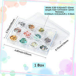 12 Colors Shell Chips Nail Art Decorations Accessories&nbsp;DIY-WH20002-669
