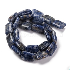 Natural Blue Spot Jasper Beads Strands&nbsp;G-T047-B10-01