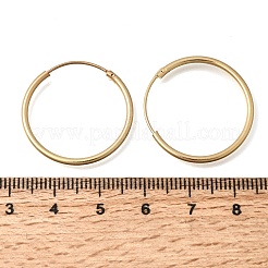 Brass Hoop Earrings&nbsp;EJEW-G474-01G-04