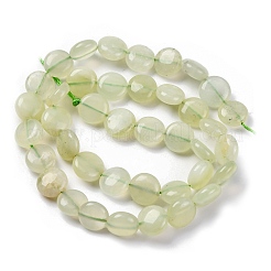Natural New Jade Beads Strands&nbsp;G-C171-C02-01