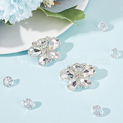 2Pcs Alloy Rhinestone Wedding Shoe Decorations&nbsp;FIND-FG0002-48D