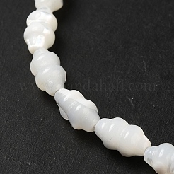 Natural Trochus Shell Beads Strands&nbsp;SHEL-M021-01