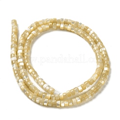 Natural Trochus Shell Beads Strands&nbsp;SHEL-K006-26
