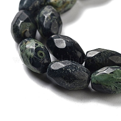 Natural Kambaba Jasper Beads Strands&nbsp;G-P520-C20-01