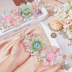 Polyester with Rhinestone  Clothing Patches&nbsp;DIY-WH20010-31