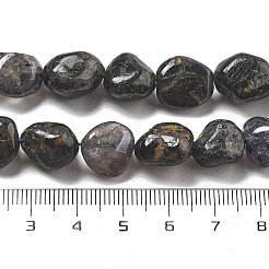 Natural Iolite Beads Strands&nbsp;G-C179-F06-01