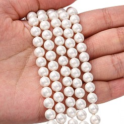 Shell Bead Strands&nbsp;X-BSHE-R146-6mm-02