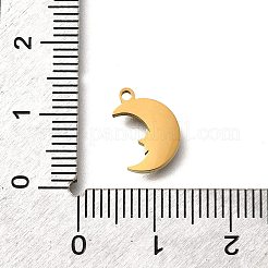 304 Stainless Steel Moon with Star Charms&nbsp;STAS-Q348-20G