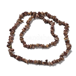 Natural Petrified Wood Beads Strands&nbsp;G-M205-89