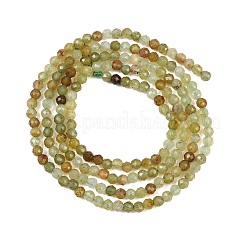Natural Green Garnet Beads Strands&nbsp;G-B181-A01-2mm