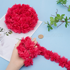 5 Yards Polyester Chiffon Lace Trim&nbsp;DIY-GF0008-56A