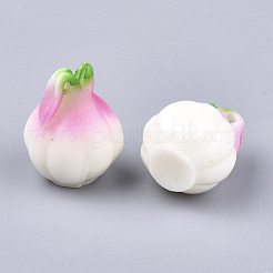 Resin Pendants&nbsp;X-RESI-T028-32