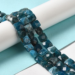 Natural Apatite Beads Strands&nbsp;G-C109-A13-02