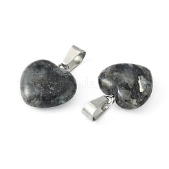 Natural Larvikite Pendants&nbsp;X-G-Q371-14
