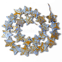 Natural Freshwater Shell Beads Strands&nbsp;X-SHEL-N026-91F