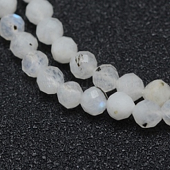 Natural Rainbow Moonstone Beads Strands&nbsp;LS-G-E411-08-4mm