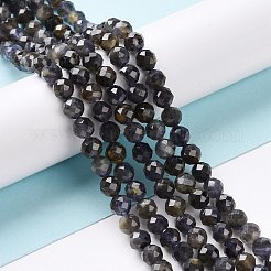Natural Iolite Beads Strands&nbsp;G-P488-02B