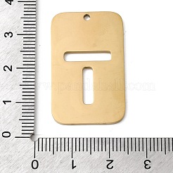 304 Stainless Steel Pendants&nbsp;STAS-D200-01T-G