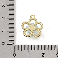 Brass Resin Pendants&nbsp;RE-CBAE379-19LG