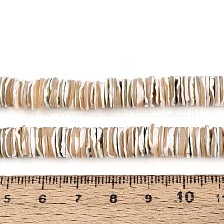 Luminous Natural Seashell Shell Beads Strands&nbsp;SSHEL-T017-34