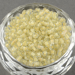 12/0 Glass Seed Beads&nbsp;SDB134