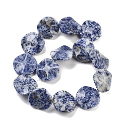 Natural Blue Spot Jasper Beads Strands&nbsp;G-Z061-B07-02