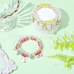 2Bags 2 Colors Plastic & Glass Beaded Stretch Bracelets&nbsp;BJEW-PA0001-09