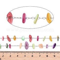 Handmade Dyed Shell Beads Chains&nbsp;CHS-T006-14P-A