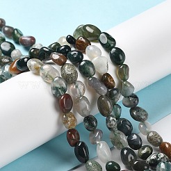 Natural Indian Agate Beads Strands&nbsp;G-P497-01A-05