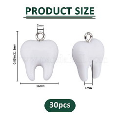30Pcs  Resin Pendants&nbsp;RESI-FH0001-69