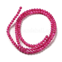 Natural Freshwater Shell Beads Strands&nbsp;X-SHEL-H003-03F