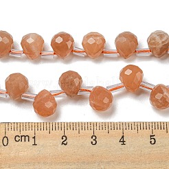 Natural Sunstone Beads Strands&nbsp;G-H297-B14-02