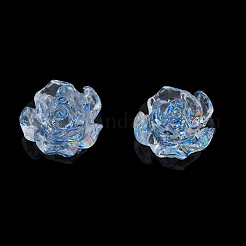 Transparent Resin Cabochons&nbsp;CRES-N030-014