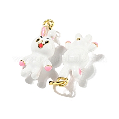 Rack Plating Brass Enamel Pendants&nbsp;KK-S366-01G