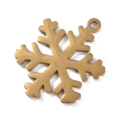 304 Stainless Steel Pendants&nbsp;SA-CBAE0F2-24G