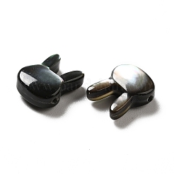 Natural Black Lip Shell Beads&nbsp;SHEL-G014-06A