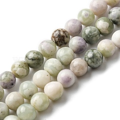 Natural Peace Jade Beads Strands&nbsp;G-E598-04C