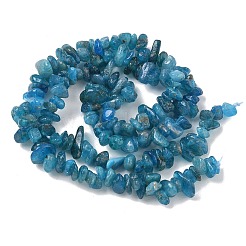 Natural Blue Apatite Beads Strands&nbsp;GG-CBAAEDE-A02