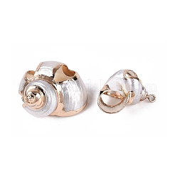 Electroplate Natural Sea Shell Pendants&nbsp;SSHEL-Q100-03KCG