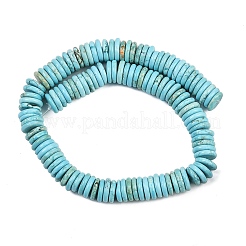 Natural Howlit Beads Strands&nbsp;G-B148-A01