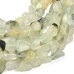 Natural Prehnite Beads Strands&nbsp;G-C286-A23