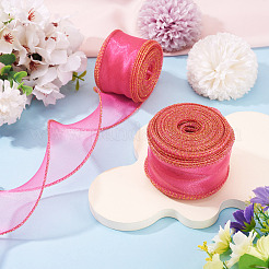 2 Rolls Polyester Mesh Ribbons&nbsp;SRIB-TA0003-42B