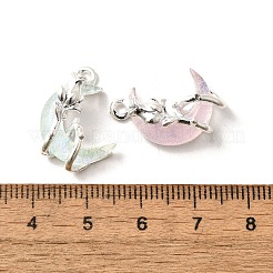 Alloy Pendants&nbsp;FIND-H015-19S