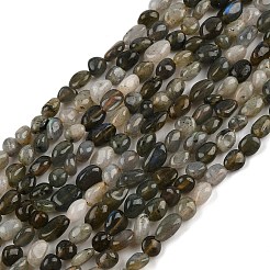 Natural Labradorite Beads Strands&nbsp;G-C250-03