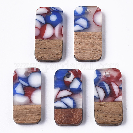 Two-tone Transparent Resin & Walnut Wood Pendants&nbsp;X-RESI-S384-008A-B08-1