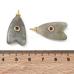 Brass & Natural Labradorite & Cubic Zirconia Pendants&nbsp;GG-CBAD360-20G-04