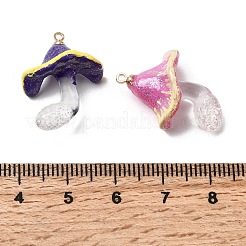 Halloween Transparent Resin Pendants&nbsp;RESI-A048-02