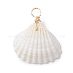 Natural Ark Shell Pendants&nbsp;PALLOY-JF02679-01