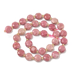 Natural Rhodonite Beads Strands&nbsp;G-C116-A195-01